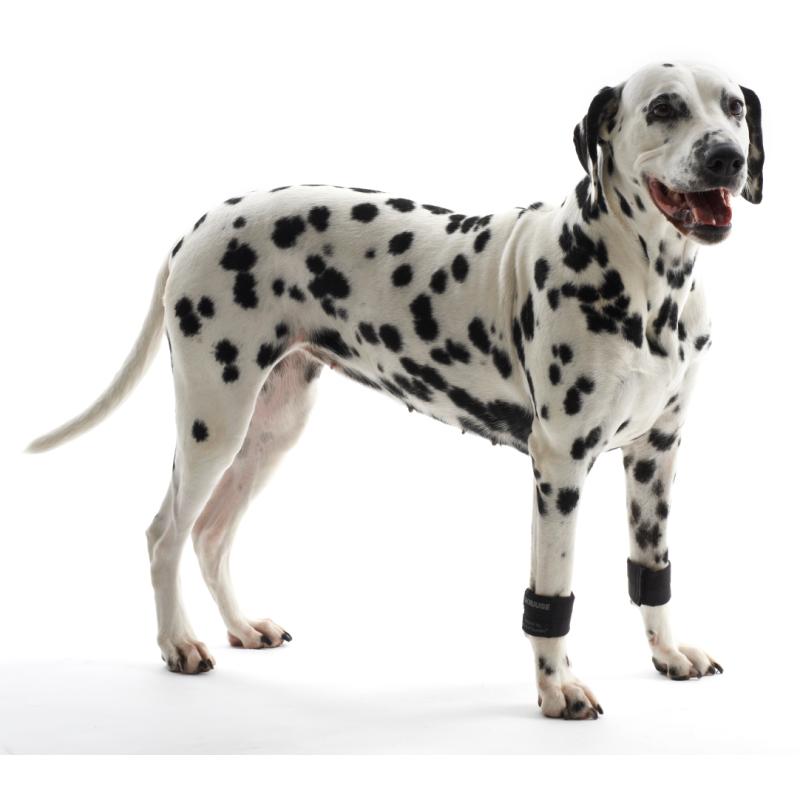 Xxxzs Video Hd - KRUUSE Rehab Weight Cuffs for dogs, Starter kit, XXXS-XL, 7 pairs