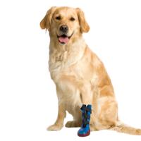 Buster Dog Boot W Sole Small