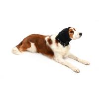 BUSTER Ear Cover, L, 1/pk
