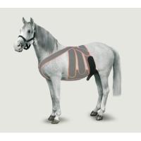 KRUUSE Equine Scrotum Strap, size L