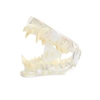 BUSTER wedge mouth prop, L