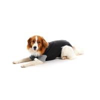 BUSTER Body Suit EasyGo for dogs, black/grey, 25 cm, size XXXS
