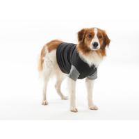 BUSTER Body Suit EasyGo for dogs, black/grey, 32 cm, size XXS