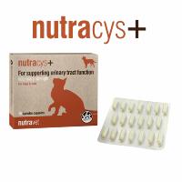 Nutracys+, 20 tabletter