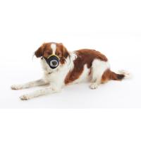 BUSTER Easy-ID nylon dog muzzle, L, yellow