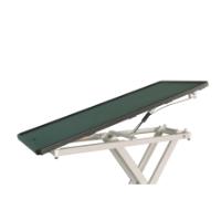 Vet Lift Table, electric with stainless steel table top, 2 small castors