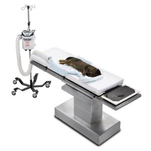 3M Bair Hugger Body Blanket, 91 x 84 cm, model 555 10/pk
3M Bair Hugger Body Blanket, 91 x 84 cm, model 555 10/pk