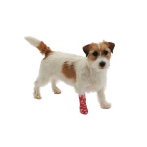 KRUUSE Chew-Stop, 7.5 cm x 4.5 m, 10/pk KRUUSE Chew-Stop, 7.5 cm x 4.5 m, 10/pk