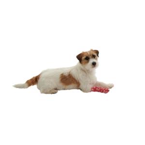 KRUUSE Chew-Stop, 7.5 cm x 4.5 m, 10/pk KRUUSE Chew-Stop, 7.5 cm x 4.5 m, 10/pk