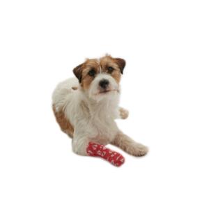 KRUUSE Chew-Stop, 7.5 cm x 4.5 m, 10/pk KRUUSE Chew-Stop, 7.5 cm x 4.5 m, 10/pk