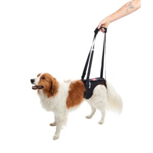 KRUUSE Rehab Lifting Harness, hind legs, XS KRUUSE Rehab Lifting Harness, hind legs, XS
