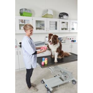 KRUUSE Fun-Flex Summer, assorted, 5 cm x 4.5 m, 10/pk KRUUSE Fun-Flex Summer, assorted, 5 cm x 4.5 m, 10/pk