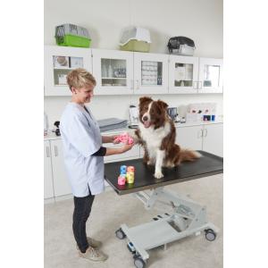 KRUUSE Fun-Flex Summer, assorted, 7.5 cm x 4.5 m, 10/pk KRUUSE Fun-Flex Summer, assorted, 7.5 cm x 4.5 m, 10/pk