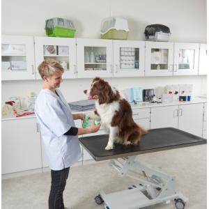 VALUELINE Self-Adhesive, Flex Bandage, red, 5 cm x 4.5 m, 10/pk VALUELINE Self-Adhesive, Flex Bandage, red, 5 cm x 4.5 m, 10/pk