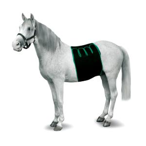 KRUUSE Equine Recovery Bandaging, S KRUUSE Equine Recovery Bandaging, S