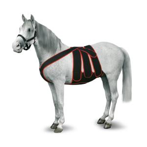 KRUUSE Equine Post Colic Surgery Kit, size L KRUUSE Equine Post Colic Surgery Kit, size L
