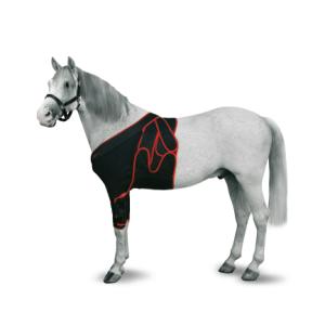 KRUUSE Equine Frontal Bandaging, L KRUUSE Equine Frontal Bandaging, L