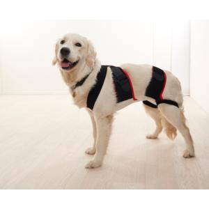 KRUUSE Abdominal female dog belt, large breed, S KRUUSE Abdominal female dog belt, large breed, S