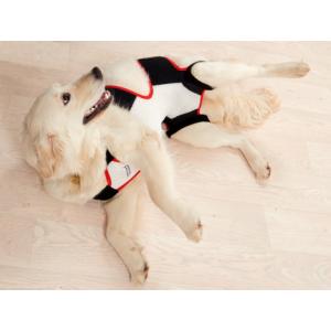 KRUUSE Abdominal female dog belt, large breed, S KRUUSE Abdominal female dog belt, large breed, S