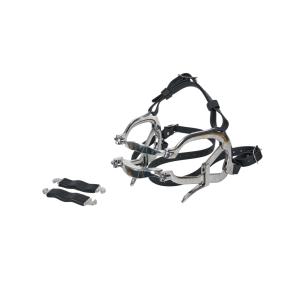 EQUIVET Millenium Speculum EQUIVET Millenium Speculum