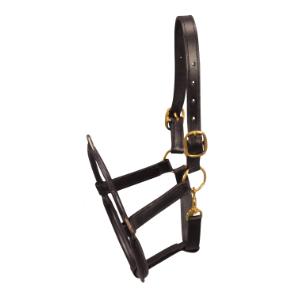 EQUIVET Tandgrime EQUIVET Tandgrime