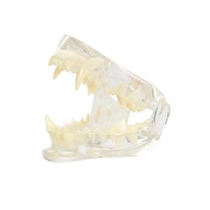 BUSTER wedge mouth prop, S BUSTER wedge mouth prop, S