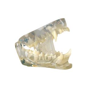BUSTER wedge mouth prop, S BUSTER wedge mouth prop, S