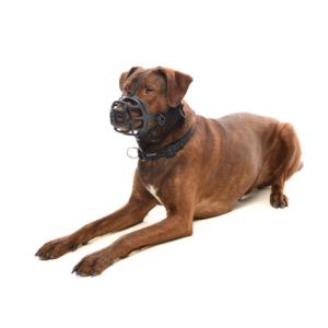 BUSTER Extreme dog muzzle, size 6 BUSTER Extreme dog muzzle, size 6