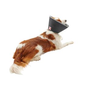 BUSTER Foam Collar, 12.5 cm, 5/pk BUSTER Foam Collar, 12.5 cm, 5/pk