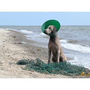 BUSTER Green Ocean Collar, 15 cm, 5/pk BUSTER Green Ocean Collar, 15 cm, 5/pk
