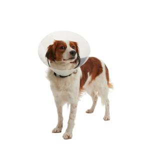 BUSTER Click Collar Hundkrage, 7,5 cm, 50 st BUSTER Click Collar Hundkrage, 7,5 cm, 50 st