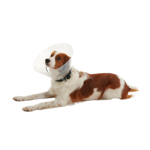 BUSTER Clic Collar, 10 cm, 50/pk BUSTER Clic Collar, 10 cm, 50/pk