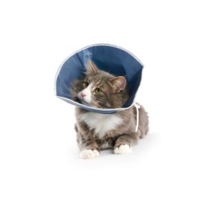 BUSTER Soft Collar, Cats and small Dogs, 10/pk
BUSTER Soft Collar, Cats and small Dogs, 10/pk