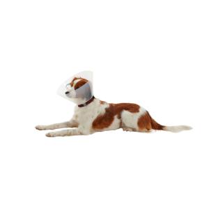 BUSTER Classic Dog Collar, 20 cm, Transparent, 10/pk BUSTER Classic Dog Collar, 20 cm, Transparent, 10/pk