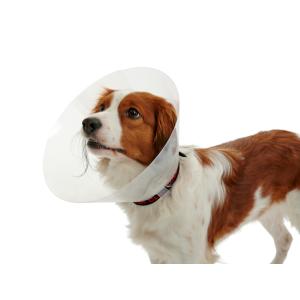 BUSTER Classic Dog Collar, 25 cm, Transparent, 10/pk BUSTER Classic Dog Collar, 25 cm, Transparent, 10/pk