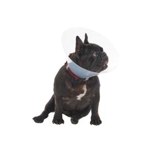 BUSTER E-Collar for Brachycephalic Dogs, M, 10/pk BUSTER E-Collar for Brachycephalic Dogs, M, 10/pk