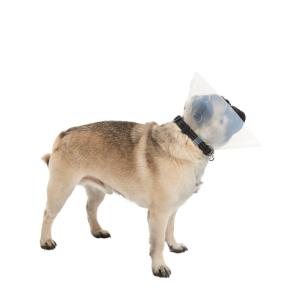 BUSTER E-Collar for Brachycephalic Dogs, assorted range: 2 x XS, 3 x S, 3 x M, 2 x L BUSTER E-Collar for Brachycephalic Dogs, assorted range: 2 x XS, 3 x S, 3 x M, 2 x L