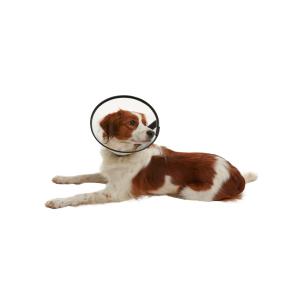 BUSTER Quick Collar, Starter Pack, 7,5 - 30 cm, 7 pcs BUSTER Quick Collar, Starter Pack, 7,5 - 30 cm, 7 pcs