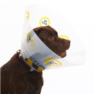 BUSTER Design Dog Collar 10 cm Under Construction, 10/pk BUSTER Design Dog Collar 10 cm Under Construction, 10/pk