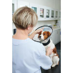 BUSTER Complete Collar 7.5 cm, 5/pk BUSTER Complete Collar 7.5 cm, 5/pk