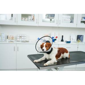 BUSTER Complete Collar 7.5 cm, 5/pk BUSTER Complete Collar 7.5 cm, 5/pk