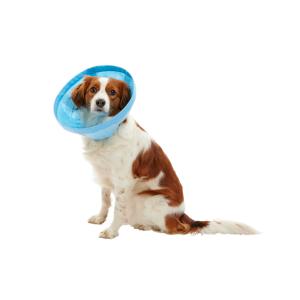 BUSTER Soft Flex Collar, 10 cm, 5/pk BUSTER Soft Flex Collar, 10 cm, 5/pk