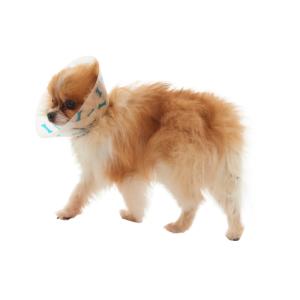 BUSTER Design Collars, Bones turquoise, 7.5 cm, 10/pk BUSTER Design Collars, Bones turquoise, 7.5 cm, 10/pk