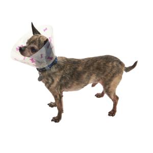 BUSTER Design Collars, Bones purple, 10 cm, 10/pk BUSTER Design Collars, Bones purple, 10 cm, 10/pk