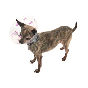 BUSTER Design Collars, Bones purple, 10 cm, 10/pk BUSTER Design Collars, Bones purple, 10 cm, 10/pk