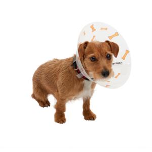 BUSTER Design Collars, Bones orange, 12.5 cm, 10/pk BUSTER Design Collars, Bones orange, 12.5 cm, 10/pk