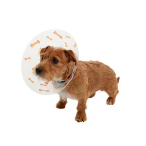 BUSTER Design Collars, Bones orange, 12.5 cm, 10/pk BUSTER Design Collars, Bones orange, 12.5 cm, 10/pk