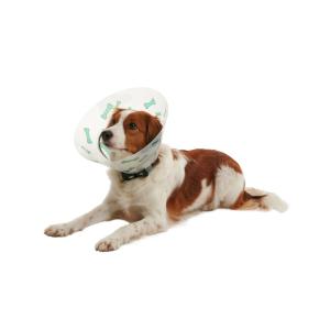 BUSTER Design Collars, Bones green, 15 cm, 10/pk BUSTER Design Collars, Bones green, 15 cm, 10/pk