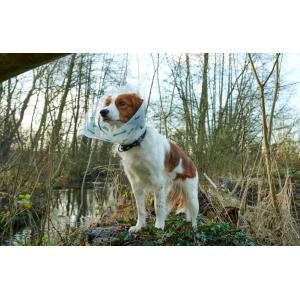 BUSTER Design Collars, Bones green, 15 cm, 10/pk BUSTER Design Collars, Bones green, 15 cm, 10/pk