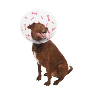 BUSTER Design Collars, Bones red, 25 cm, 10/pk BUSTER Design Collars, Bones red, 25 cm, 10/pk